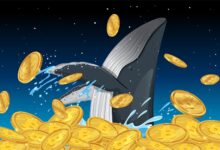 crypto30x.com ocean