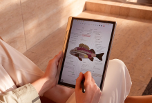 Tablets