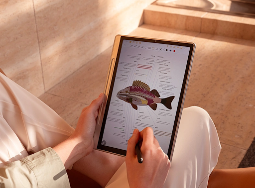 Tablets
